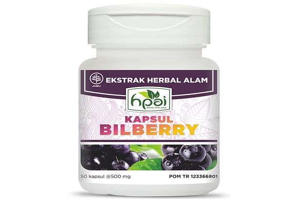 Manfaat Bilberry Keajaiban Buah Ajaib untuk Kesehatan Mata